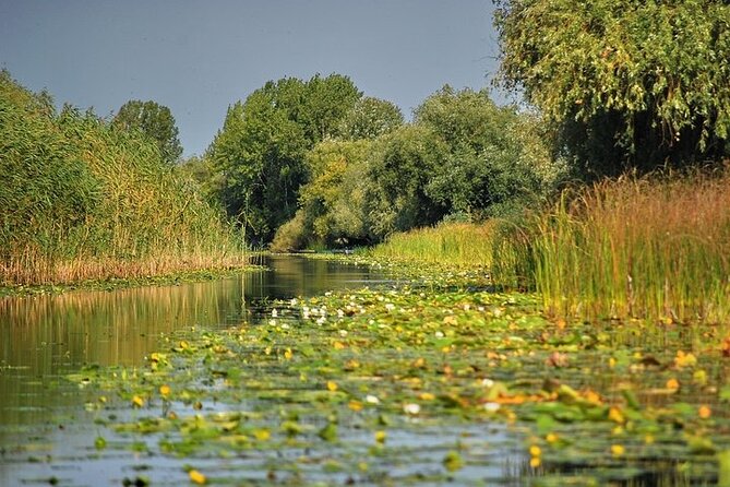 Day Trip from Bucharest to Danube Delta - The Scenic Drive to the Danube Delta