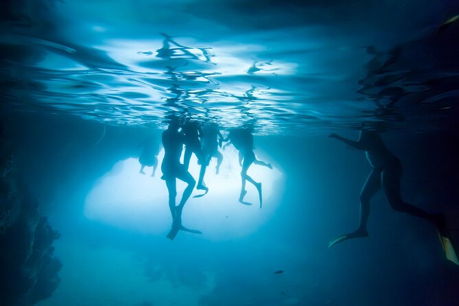 Day Trip from Dubrovnik to Krka waterfalls - The Experience with the Guide and Overall Comfort