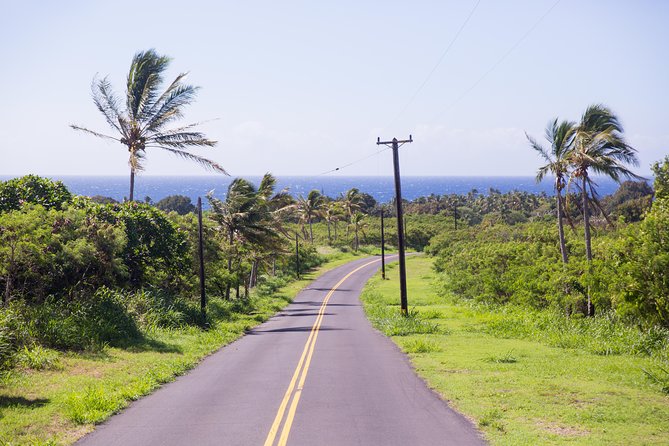 Day Trip from Oahu to Hilo: Volcano Adventure - Visiting Hilo’s Historic Town and Waterfalls