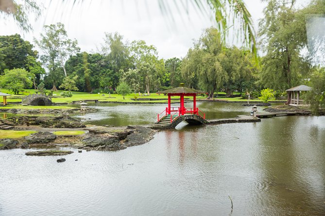 Day Trip from Oahu to Hilo: Volcano Adventure - The Return Journey and Reflection