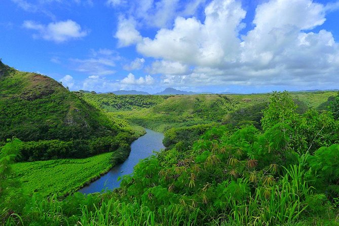Day Trip from Oahu to Kauai: Waimea Canyon & Wailua River - Wailua River Cruise and Fern Grotto
