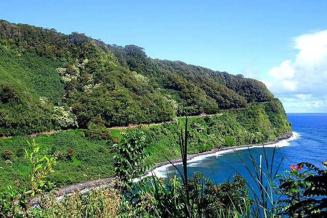 Day Trip from Oahu to Maui: Road to Hana Adventure - Practical Details: Group Size, Accessibility, and Weather Considerations