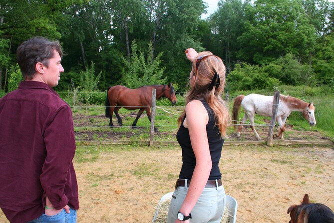 Day Trip from Paris - French Food, Rural Experiences & Horses! - Interactive Farm Activities and Horse Walks