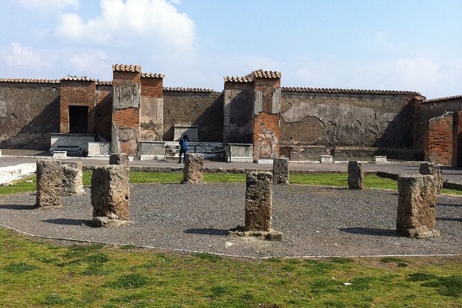 Day trip from Rome to Pompei Mt Vesuvius & Local Guide included - The Unique Setting of Vesuvius National Park