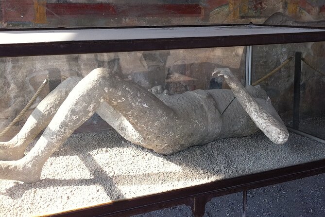 Day trip from Rome to Pompei Mt Vesuvius & Local Guide included - Limitations to Consider