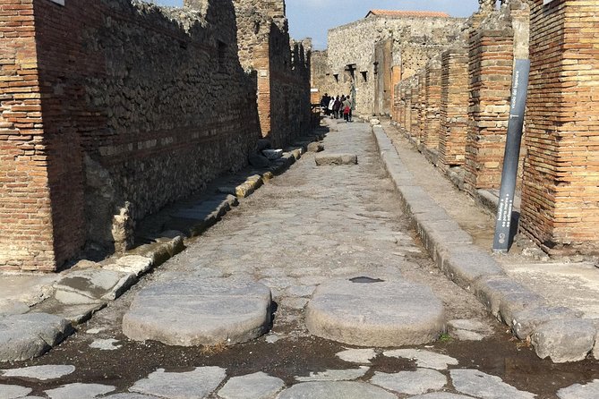Day Trip from Rome to Pompeii - Visiting Pompeii: A Focused 2-Hour Private Tour