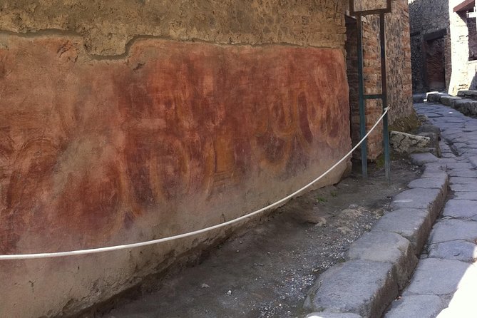 Day Trip from Rome to Pompeii - Comfortable, Private Return Journey to Rome