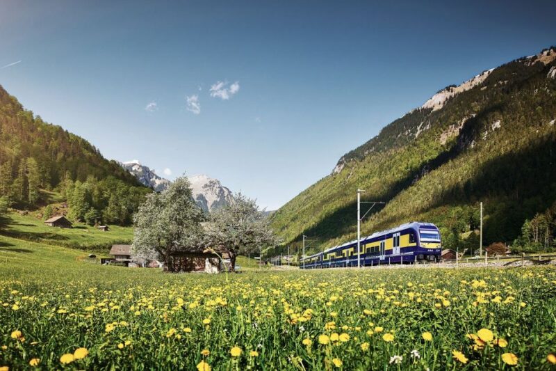 Day Trip from Zurich: Grindelwald First Mountain Adventure - Scenic Journey Through the Bernese Oberland and Interlaken