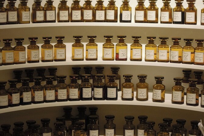 Day Trip: Guided tour of Monaco and Eze, sightseeing . - Oceanographic Museum and Gardens