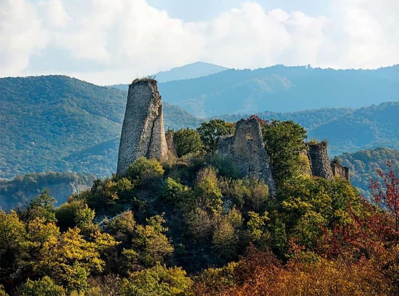 Day trip in Kakheti-Beauty and Love in a Glass Wine - Key Points