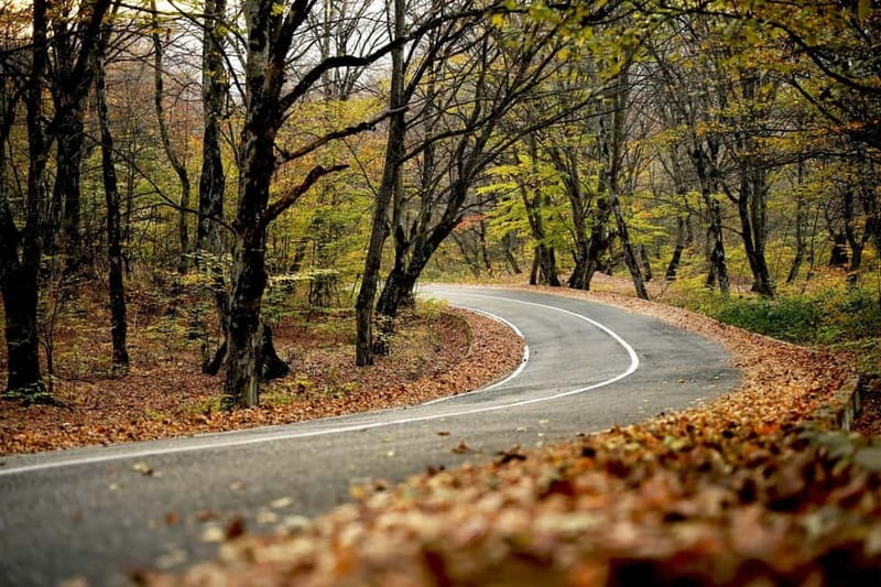 Day trip in Kakheti-Beauty and Love in a Glass Wine - How the Tour Starts at 21 Ovanes Tumaniani Street in Old Tbilisi