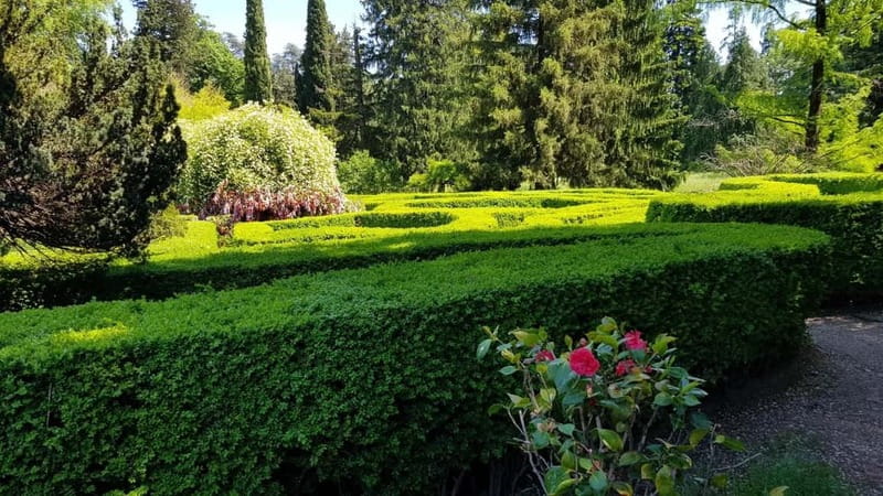 Day trip in Kakheti-Beauty and Love in a Glass Wine - Exploring Telavi and the 945-Year-Old Plane Tree