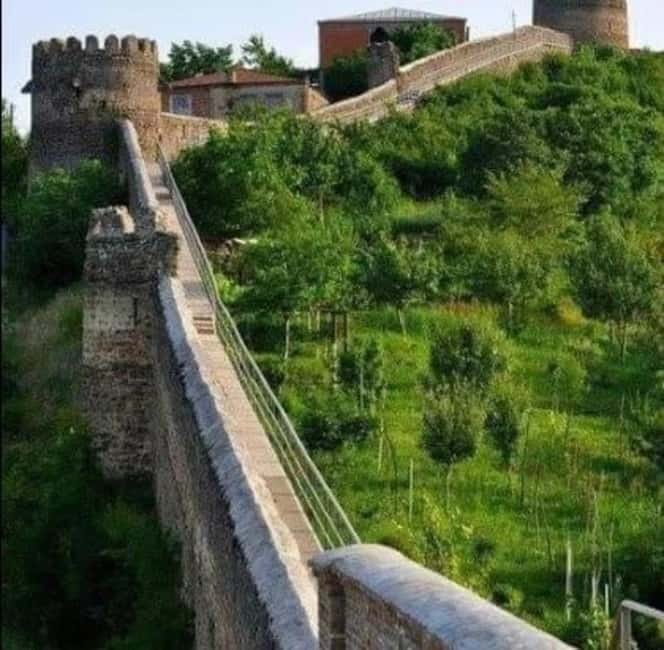 Day trip in Kakheti-Beauty and Love in a Glass Wine - Limitations and Recommendations