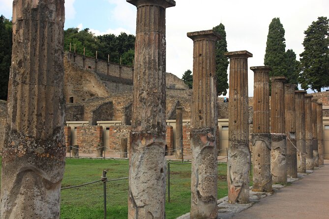 Day Trip of Pompeii, Herculaneum and Vesuvius from Naples - Reviews and Practical Insights