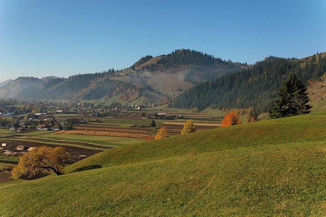 Day trip on Quad ATV - Transylvanian outdoor adventure - Comparing This Tour with Similar Experiences in Transylvania