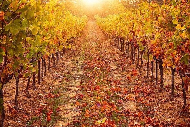 Day Trip Pisa, Siena, San Gimignano. - San Gimignano’s Towers and Local Delights