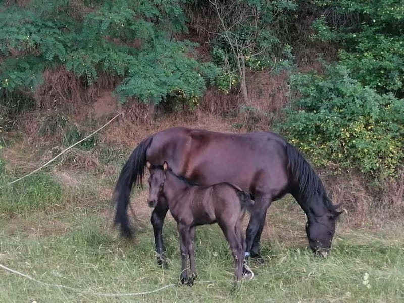 Day Trip: Rila Monastery & Ivan Rilski Cave  Small Group - The Natural Wonder of Stobski Pyramids