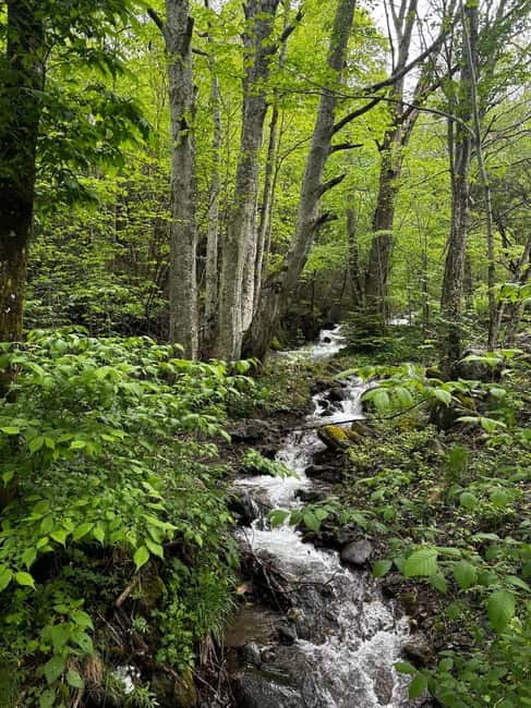Day Trip: Rila Monastery & Ivan Rilski Cave  Small Group - Logistics and Meeting Details