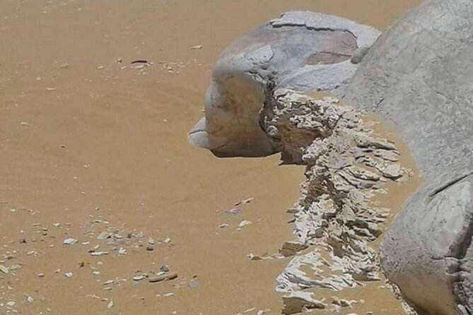 Day Trip To Bahariya Oasis Visit Black And White Desert From Cairo - Considerations and Limitations of the Tour