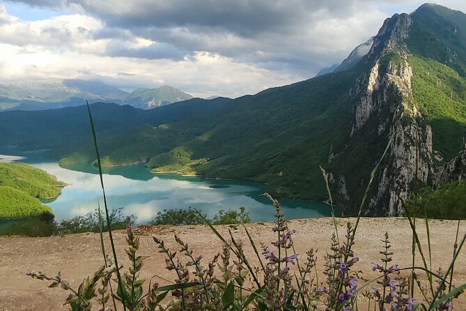Day Trip to Bovilla Lake and Kruja city (from Tirana) - The Scenic Beauty of Bovilla Lake and Surroundings