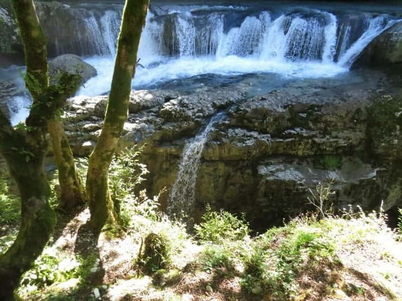 Day trip to Dashbash Canyon with Licensed Guide - Comparing Similar Tours and Additional Activities