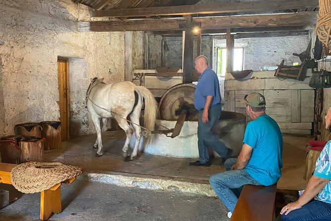 Day Trip to Dubrovnik from Sibenik - Dubrovnik from Sibenik: A Practical and Personalized Day Trip