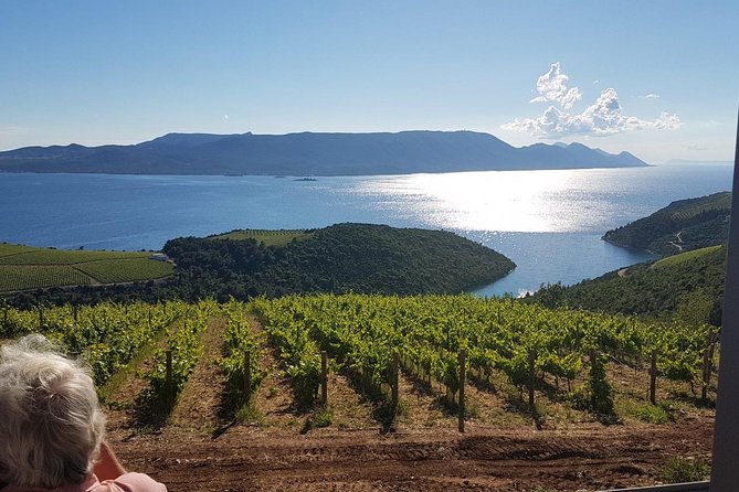 Day Trip to Dubrovnik From Split - The Sum Up: A Personalized and Scenic Day Trip to Dubrovnik