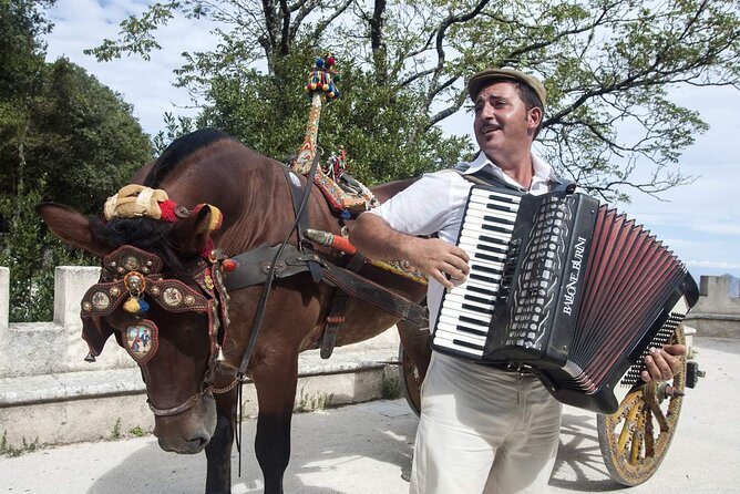 Day Trip to Erice, Scopello, Castellammare, Saline Reserve - Comfort and Convenience: Transport and Logistics