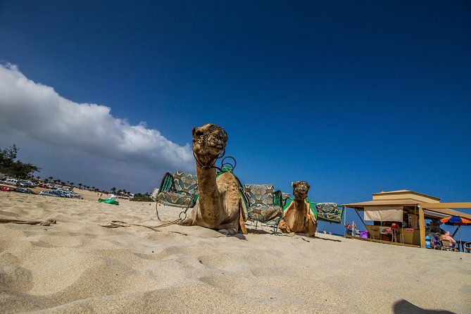 Day trip to Fuerteventura from Lanzarote - The Dunes of Corralejo and Photo Opportunities
