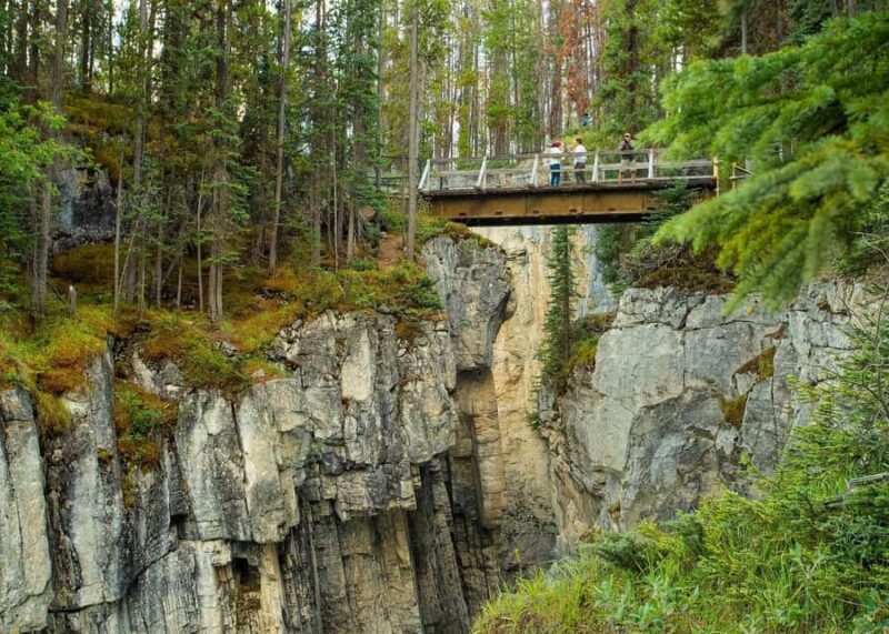 Day Trip to Jasper + Banff with picnic and drinks - Picnic Lunch at Abraham Lake: A Surprising Highlight