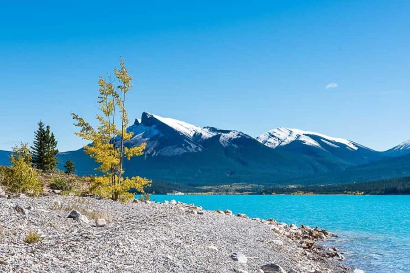 Day Trip to Jasper + Banff with picnic and drinks - Discover the Beauty of Peyto Lake and the Final Views
