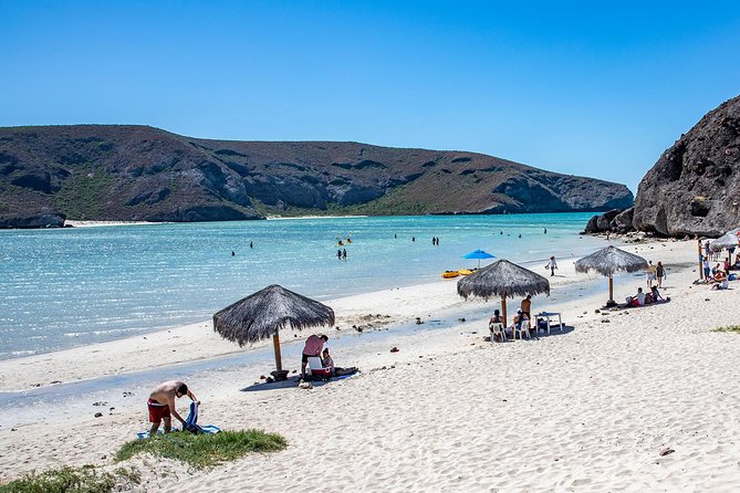 Day Trip to La Paz & Balandra Beach from Cabo San Lucas - Key Points