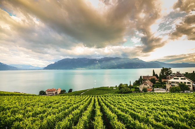 Day Trip to Montreux, Chaplin's World & Chillon Castle& apéritif - Scenic Steamboat Cruise Across Lake Geneva