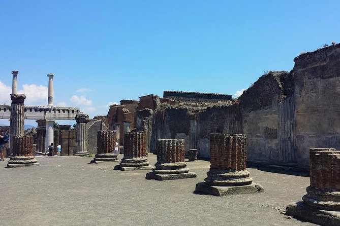 Day Trip to Mount Vesuvius & Pompeii Ruins from Rome - Private Tour - Key Points