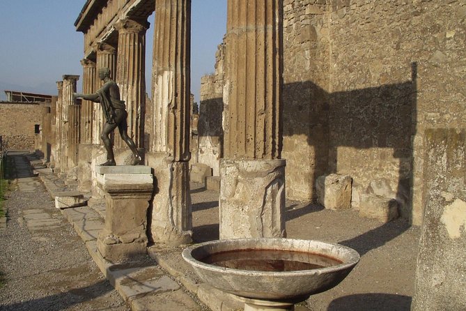 Day Trip to Mount Vesuvius & Pompeii Ruins from Rome - Private Tour - Whats Included and Whats Extra