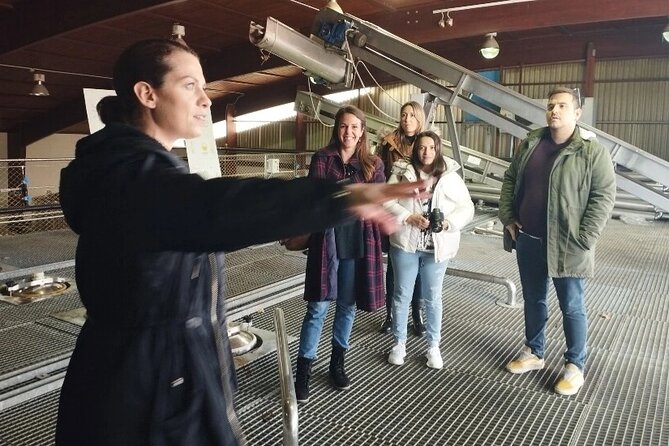 Day Trip to Nemea Winery & Nafplio - Practical Details and Booking