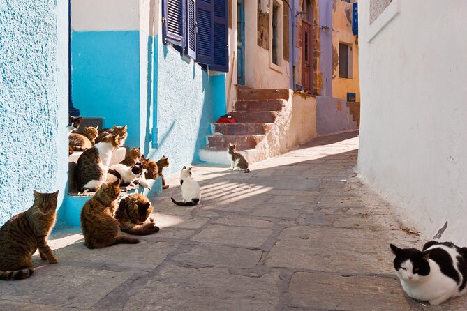 Day Trip to Nisyros Island - Visiting the Village of Nivia Before the Volcano