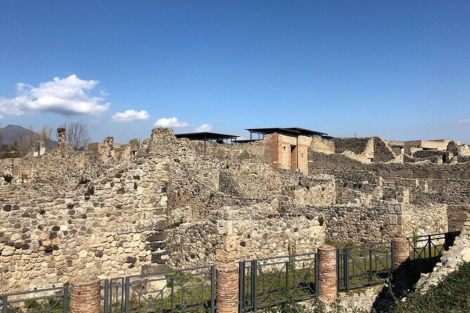 Day trip to Pompeii and Mount Vesuvius from Naples - The Guide and Overall Experience