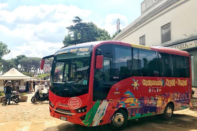 Day trip to Pompeii from Naples - Accessibility and Visitor Considerations