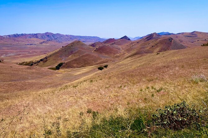 Day Trip to Rainbow Mountains and David Gareja - Discovering David Gareja Monastery Complex