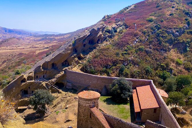 Day Trip to Rainbow Mountains and David Gareja - Final Stop and Return to Tbilisi