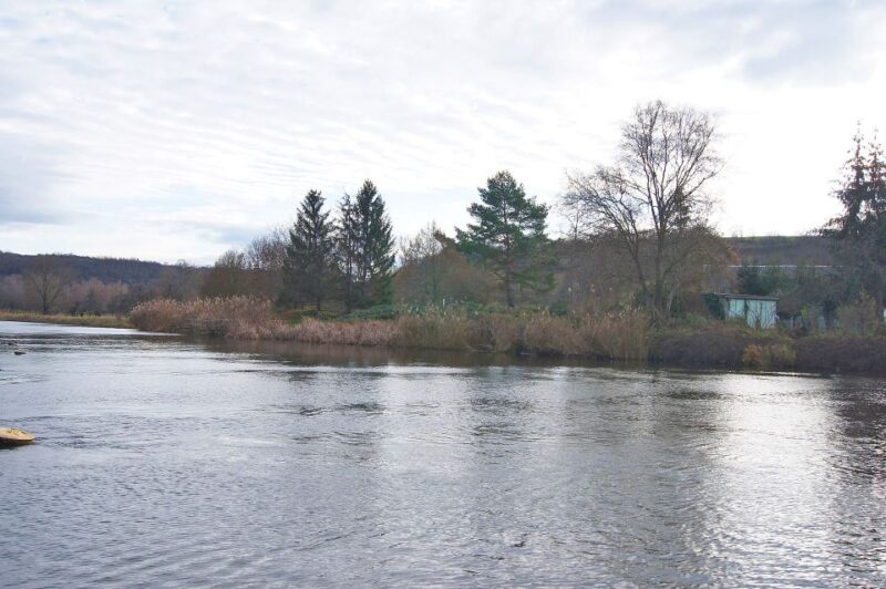 Day Trip to Rothenburg from Frankfurt - The Return Journey and Tour Pacing