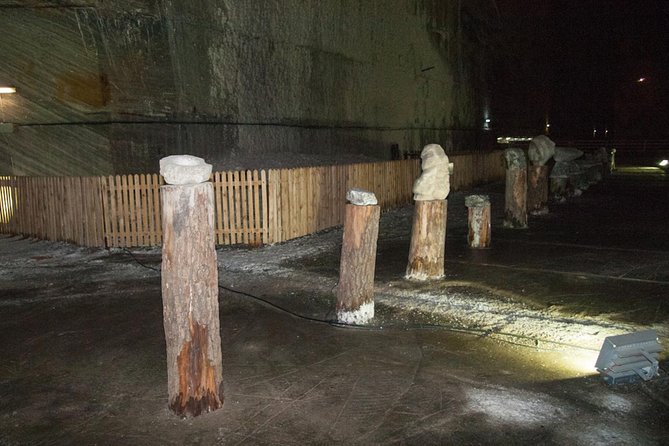 Day Trip to Slanic Salt Mine - Who Will Appreciate This Tour Most?