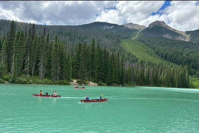 Day Trip to Takakkaw Falls Emerald Lake Natural Bridge Banff - Discover the Natural Bridge Carved by Water