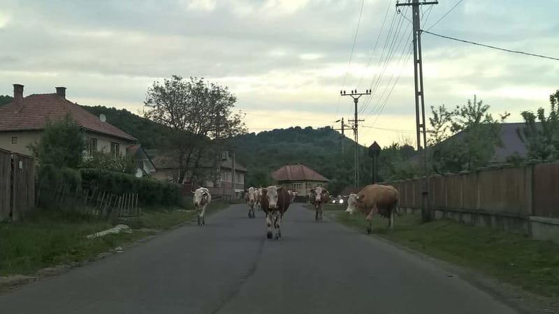 Day Trip to the Land of Hidden Caves - Key Points