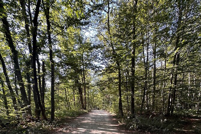 Day trip to the Plitvice Lakes incl. admission and lunch - Accessibility and Group Size: Intimate and Comfortable