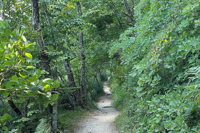 Day trip to the Plitvice Lakes incl. admission and lunch - Flexible Cancellation and Weather Considerations