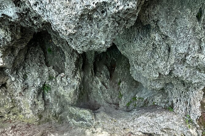 Day trip to the Plitvice Lakes incl. admission and lunch - What Sets This Tour Apart: Focus on Hidden Corners and Photos