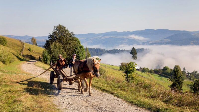 Day trip to the UNESCO Painted Monasteries from Iasi - The Experience Recap: What Makes This Tour Stand Out