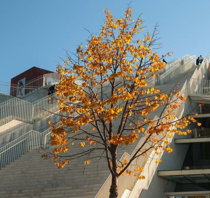 Day trip to Tirana & Kruja - The Sum Up: A Well-Balanced Day in Tirana and Kruja